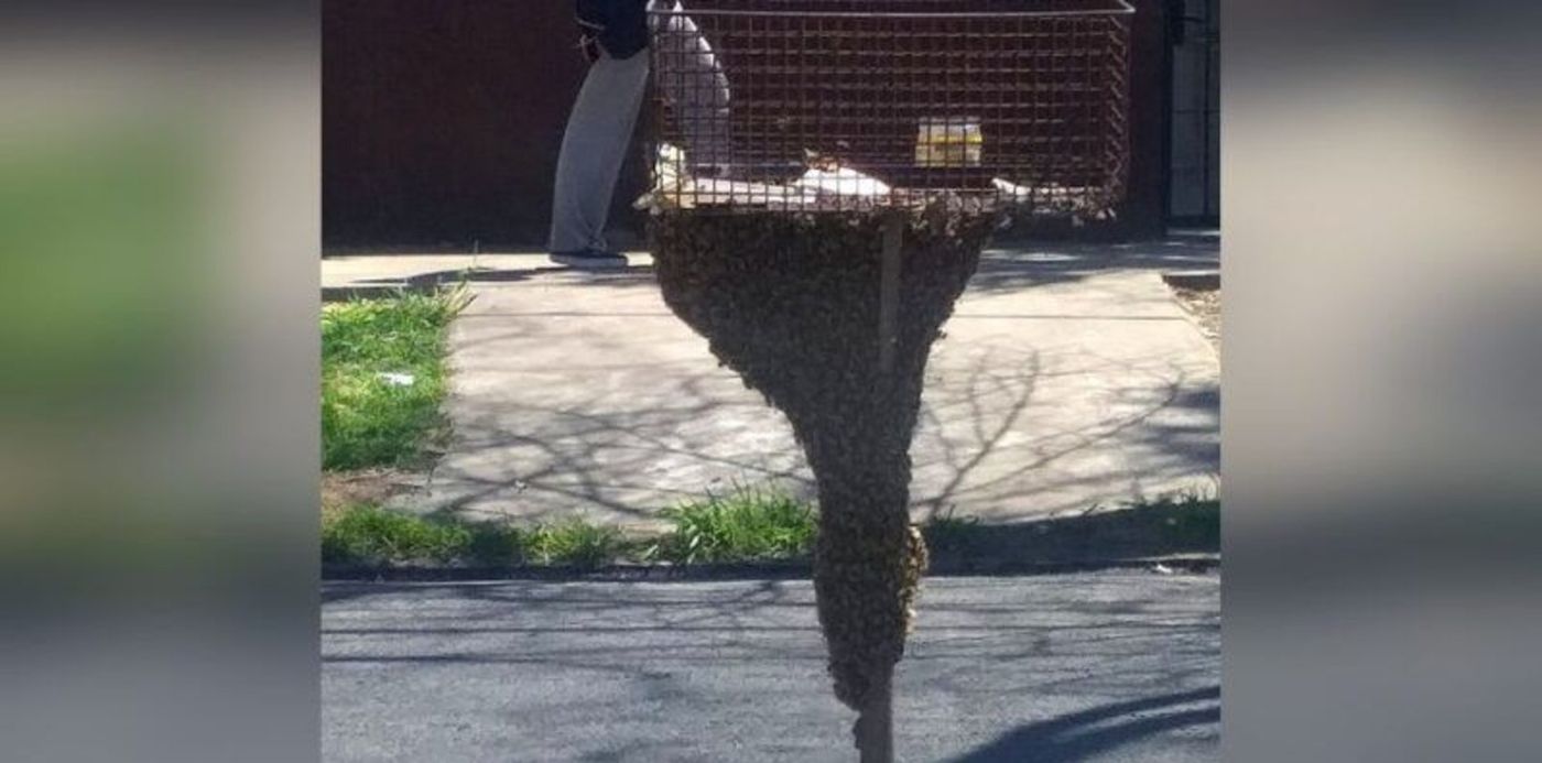 1633021731535.jpg?x=0&y=0&width=800&height=400&rotate=0&scaleX=1&scaleY=1&ow=800&oh=400&&cw=1920&ch=950