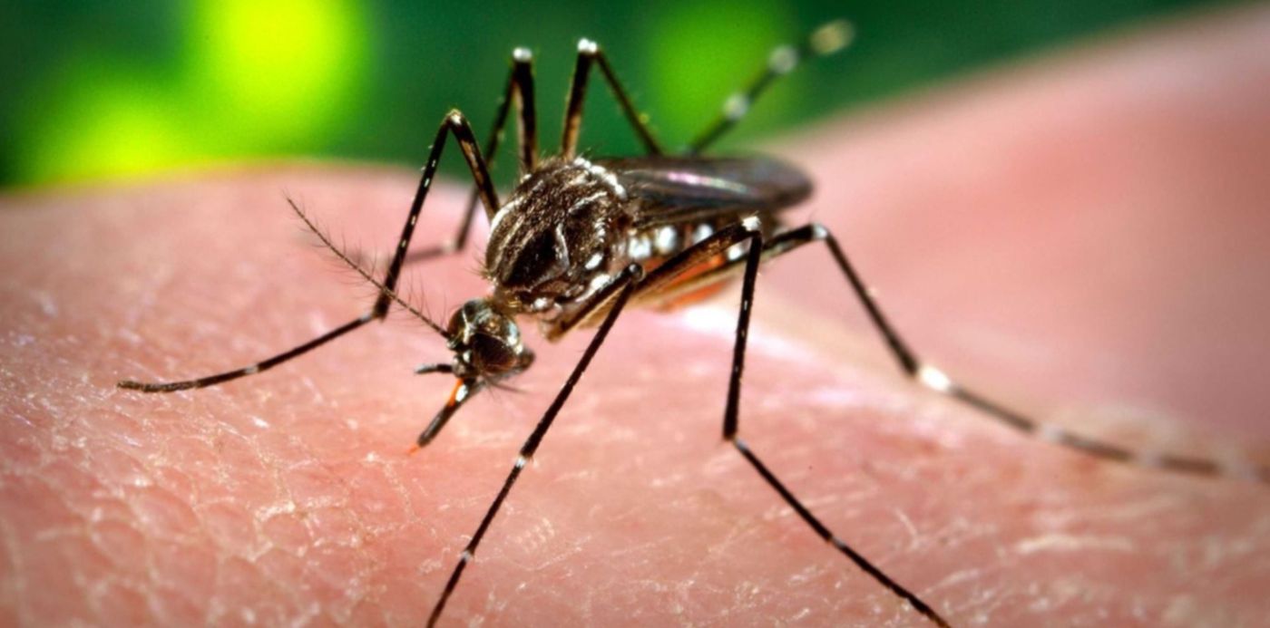 1582820447980.jpg?y=98&height=741&rotate=0&oh=994&x=4&scaleX=1&scaleY=1&ow=1500&width=1482&&cw=1920&ch=950