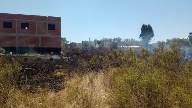 un incendio de pastizales casi alcanza las casas en la plata