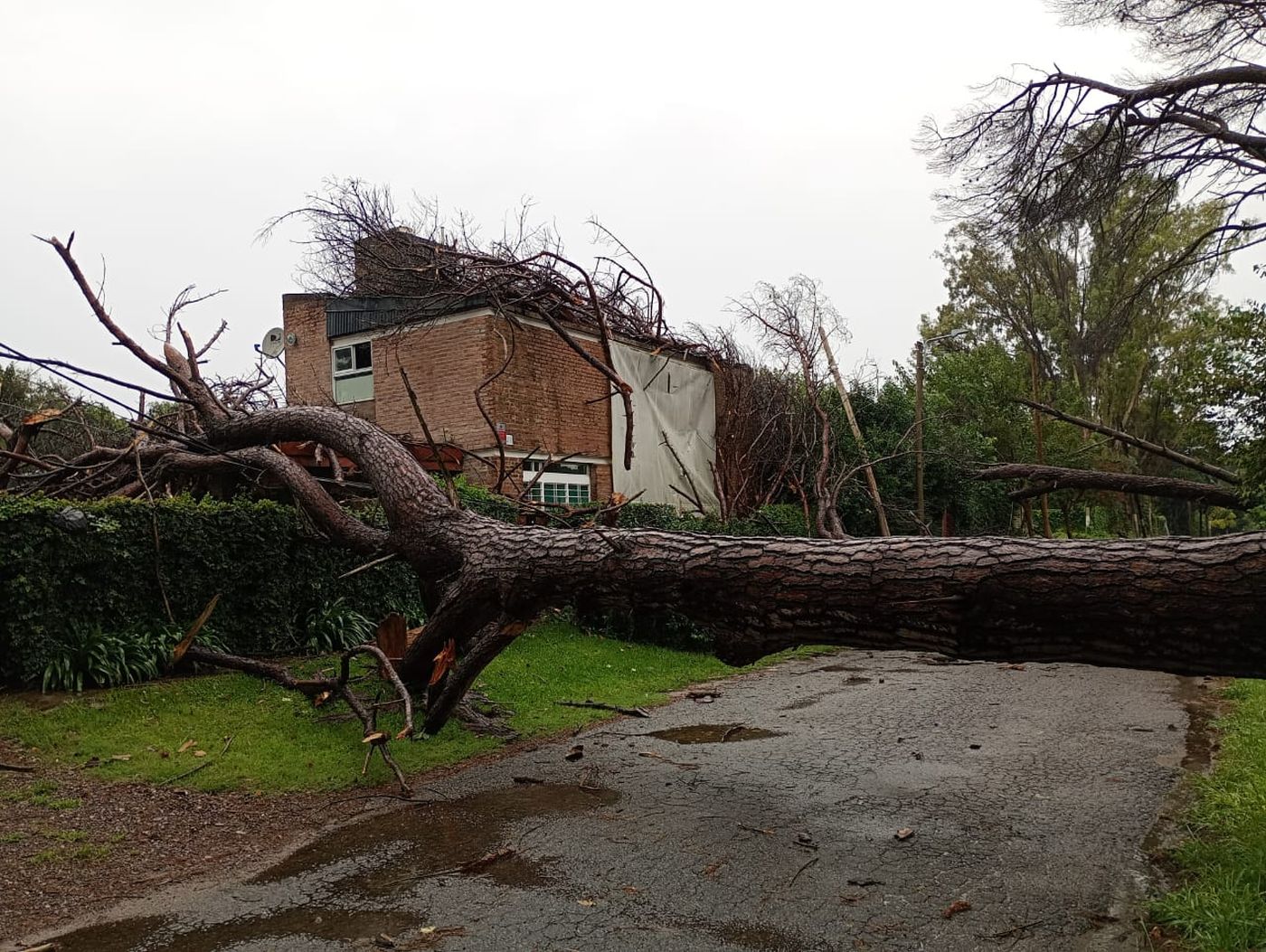 WhatsApp Image 2025-04-11 at 15.17.36.jpeg