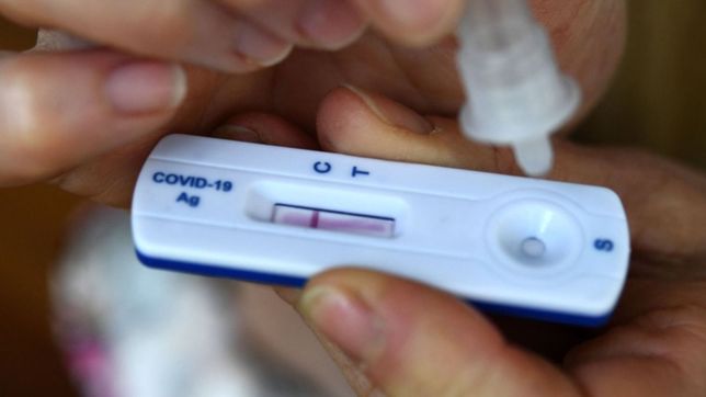 bajaron los casos y las muertes por covid en argentina: ¿como sigue la curva de contagios?