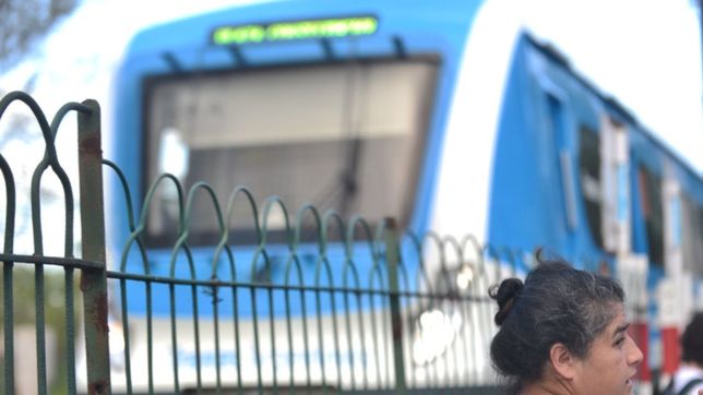 tras la caida de una arbol en las vias, se normaliza el recorrido del tren roca