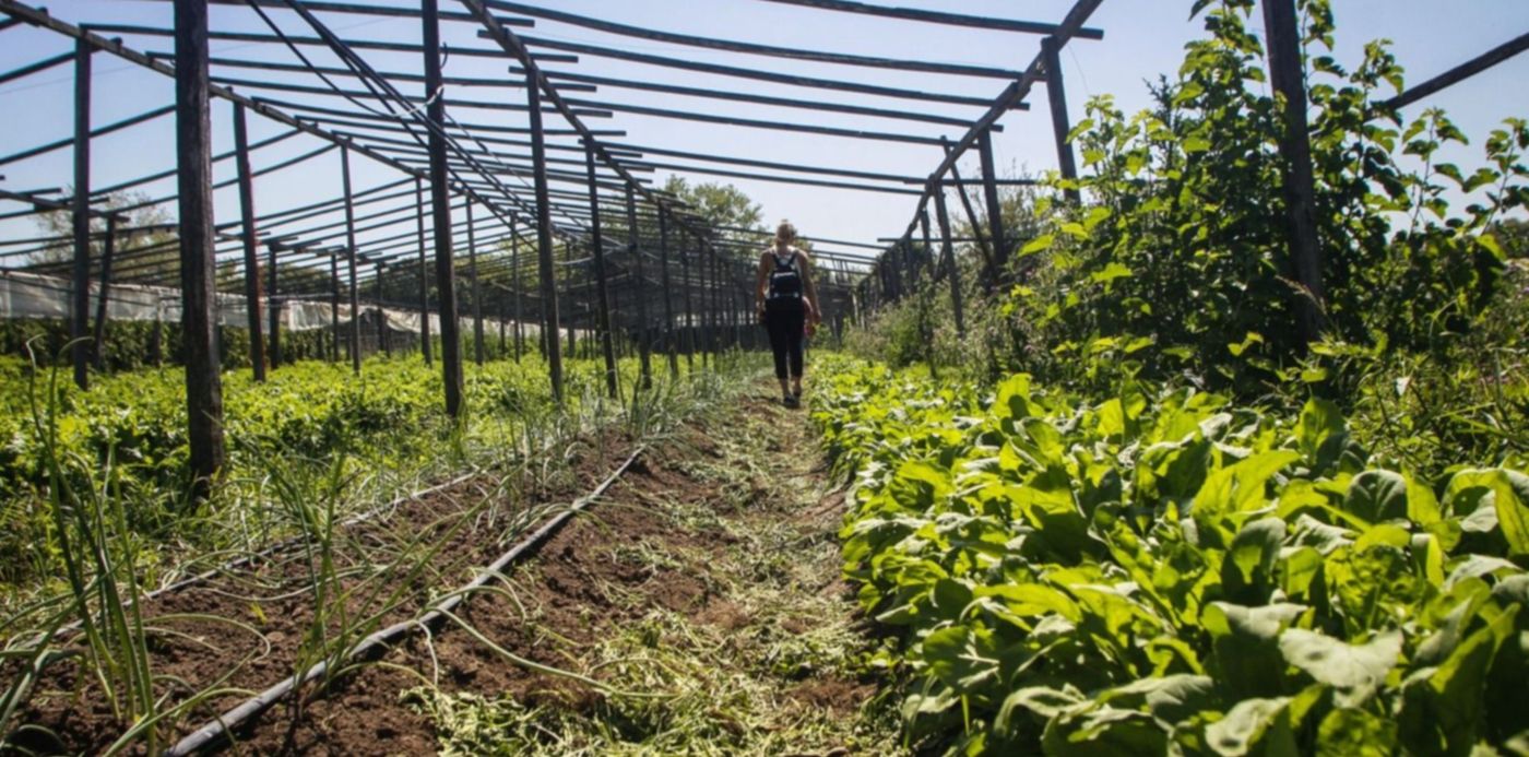 Cordón Frutihortícola