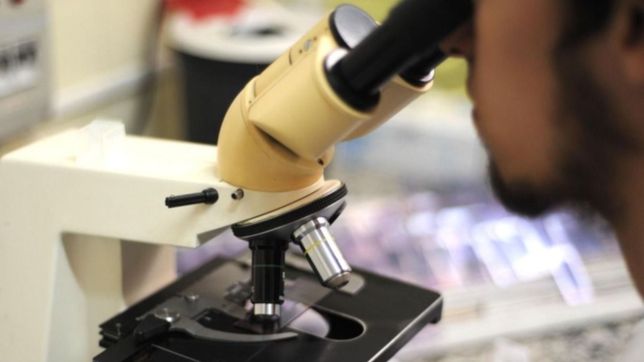 esperan por el resultado de un estudio para confirmar caso de tuberculosis en berisso