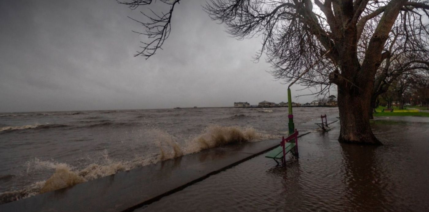 1569930920829.jpg?height=746&rotate=0&scaleX=1&ow=1500&oh=994&x=4&y=228&width=1492&scaleY=1&&cw=1920&ch=950