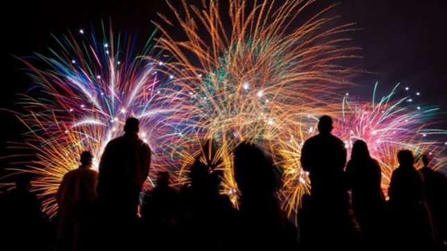 en la plata buscan prohibir la pirotecnia ruidosa con multas de hasta 266 mil pesos