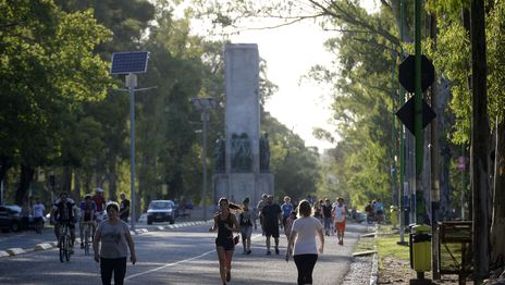 Exigen que el Municipio cumpla con la ley que declara al Bosque de La Plata como paisaje protegido Exigen que el Municipio cumpla con la ley que declara al Bosque de La Plata como paisaje protegido