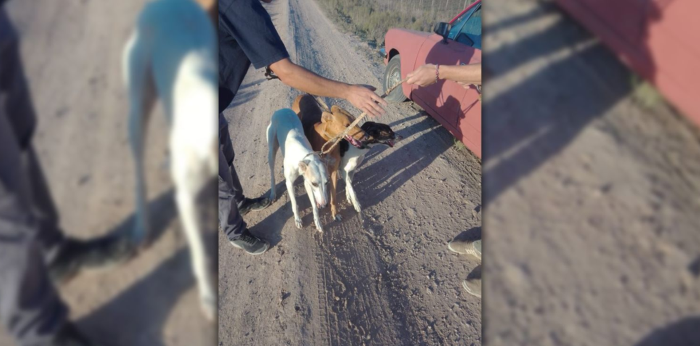 1680438951767.jpg?x=8&y=0&width=1484&height=742&rotate=0&scaleX=1&scaleY=1&ow=1500&oh=742&&cw=1920&ch=950