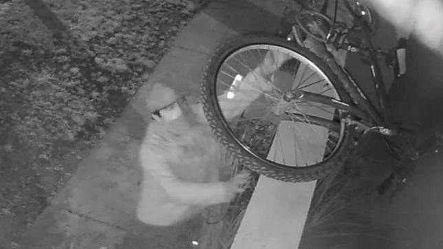 salto un paredon, robo una bicicleta de una casa de city bell y quedo filmado