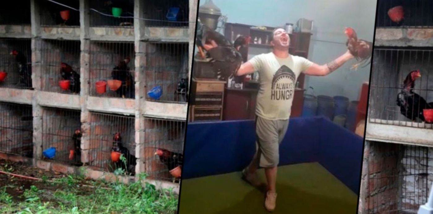 1603495386372.jpg?x=22&y=10&width=1443&height=722&rotate=0&scaleX=1&scaleY=1&ow=1500&oh=742&&cw=1920&ch=950