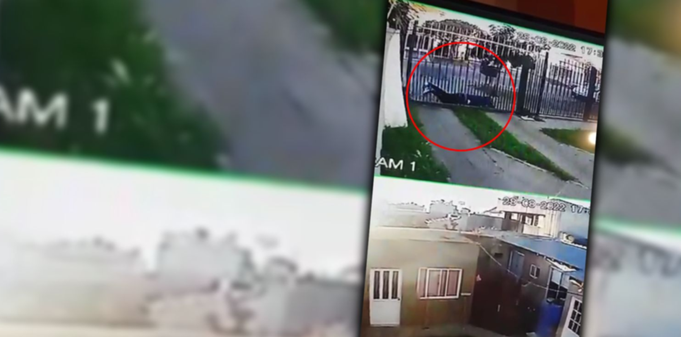 1661814666451.jpg?x=8&y=0&width=1484&height=742&rotate=0&scaleX=1&scaleY=1&ow=1500&oh=742&&cw=1920&ch=950