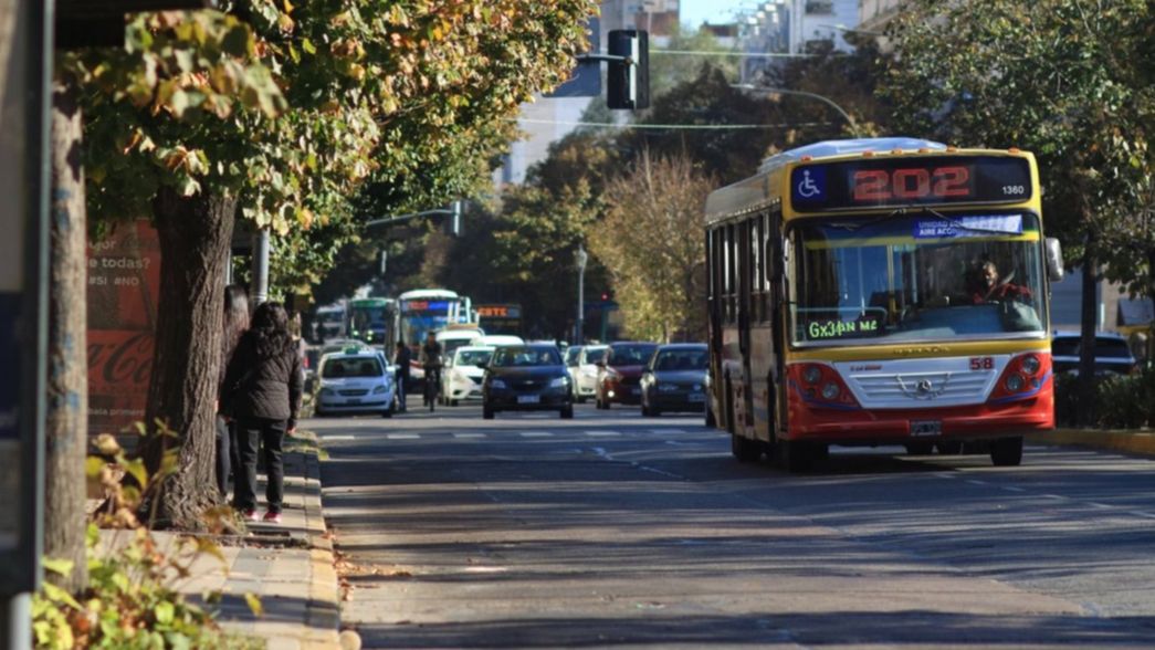El paro de micros se hará en el AMBA pero no afectará a La Plata, Berisso y Ensenada
