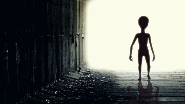 humanoide en punta lara: los dos antecedentes que conmocionaron a toda la region