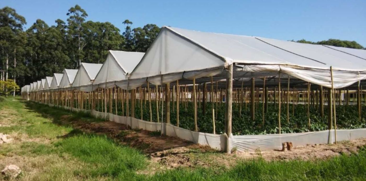 1603220378571.jpg?x= 3&y=70&width=1283&height=642&rotate=0&scaleX=1&scaleY=1&ow=1280&oh=721&&cw=1920&ch=950