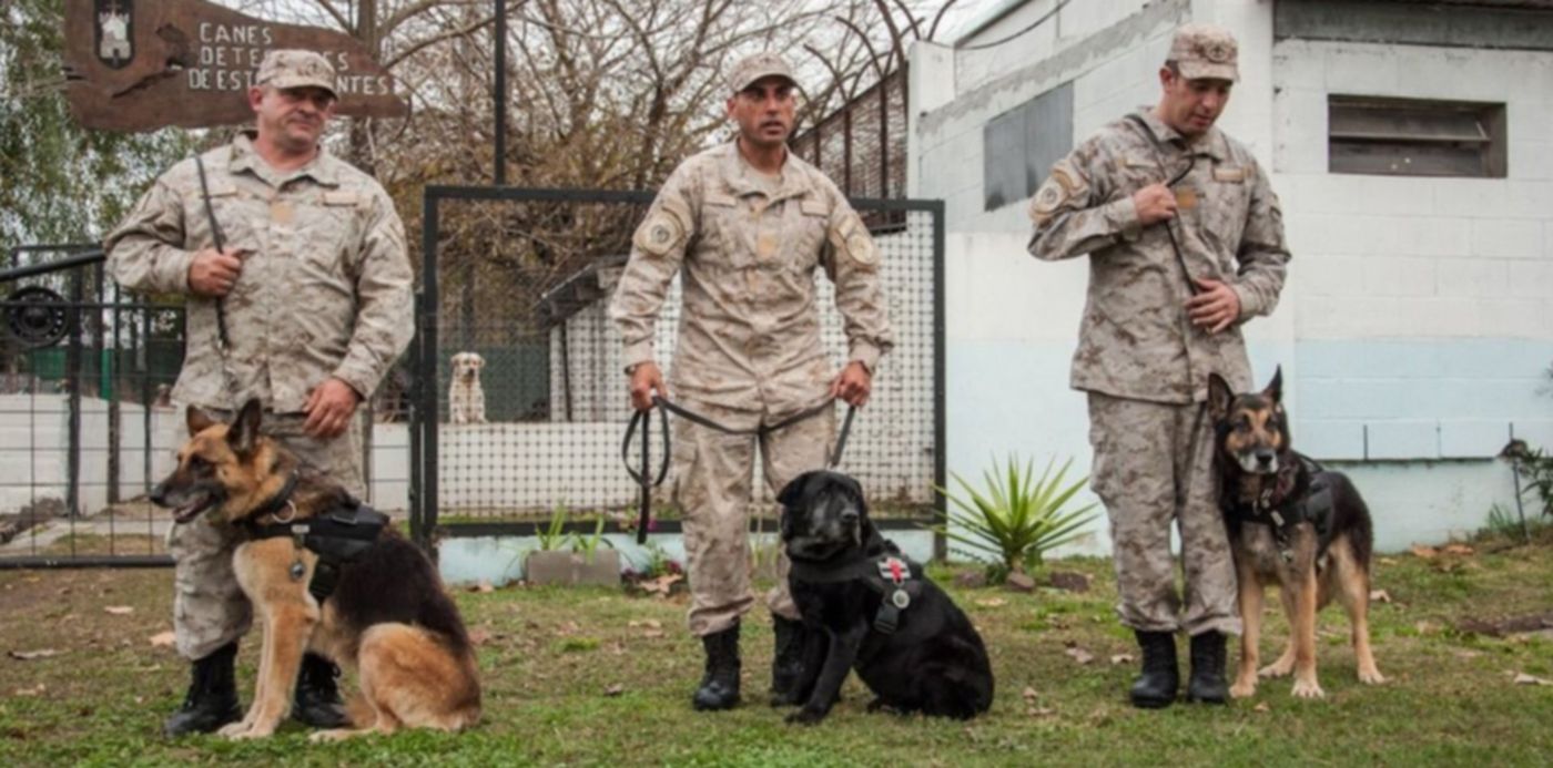 1560784779129.jpg?y=135&scaleX=1&scaleY=1&ow=1024&x=3&width=1019&height=509&rotate=0&oh=680&&cw=1920&ch=950