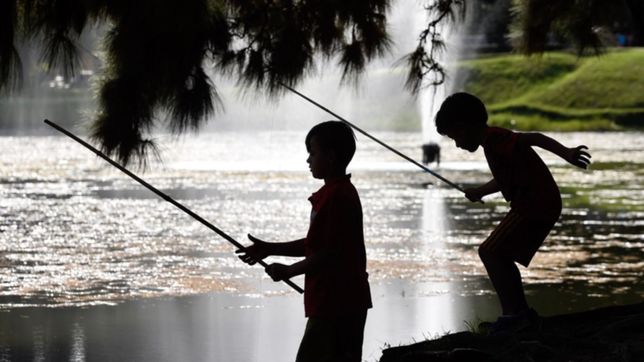 despues del domingo a pleno sol: hay chances de lluvia pero sigue el veranito en la plata
