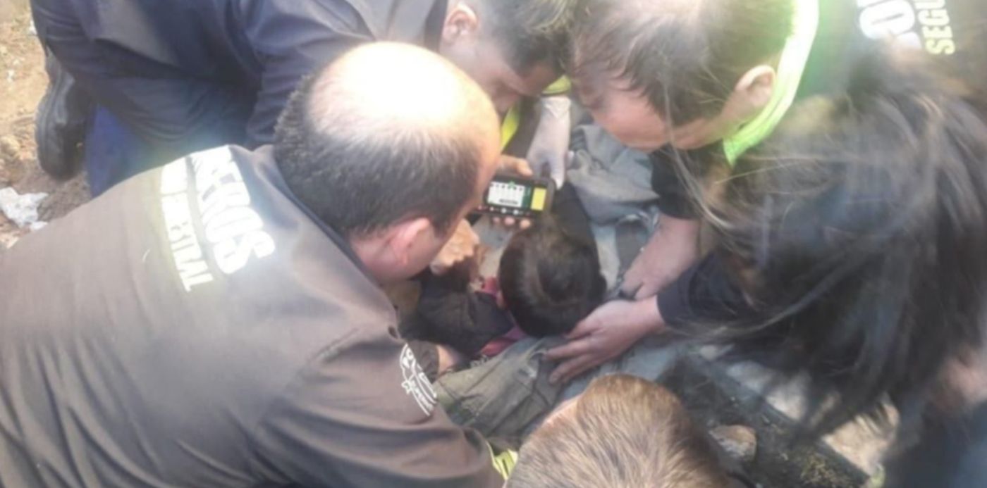 1564776778388.jpeg?width=1022&scaleX=1&scaleY=1&rotate=0&ow=1032&oh=774&x=5&y=13&height=511&&cw=1920&ch=950