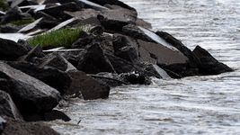 confirman que el hombre muerto en ensenada se suicido y revelan por que lo habria hecho confirman que el hombre muerto en ensenada se suicido y revelan por que lo habria hecho