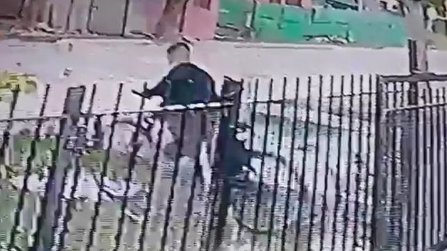 video: a plena luz del dia, forzo el porton de una casa y robo una bicicleta