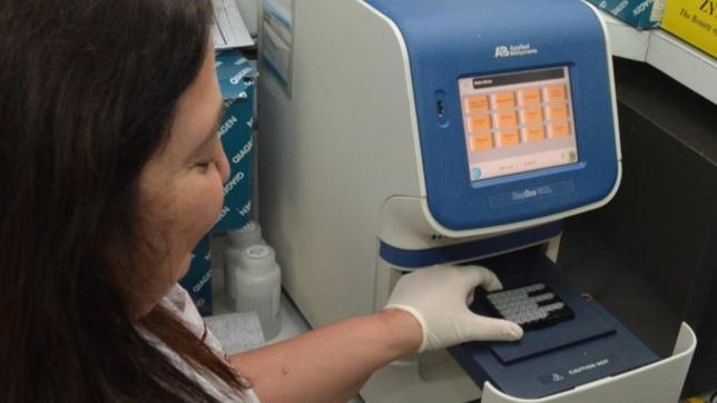 la plata sumo 125 casos nuevos y un fallecido durante el domingo