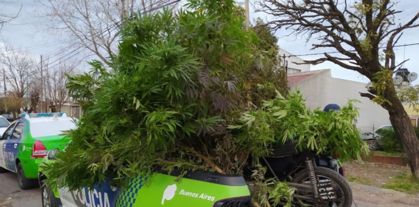 1592927554437.jpeg?oh=857&y=87&width=1275&scaleX=1&scaleY=1&x=2&height=638&rotate=0&ow=1280&&cw=1920&ch=950