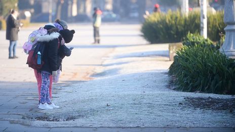 Se va la niebla de La Plata, pero llega una ola polar con mínimas cercanas a los cero grados Se va la niebla de La Plata, pero llega una ola polar con mínimas cercanas a los cero grados