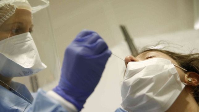 la plata sumo 171 casos de covid-19 y siete muertes en las ultimas 24 horas