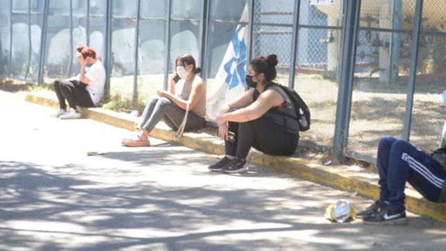 fuerte caida de los pacientes activos con coronavirus en argentina