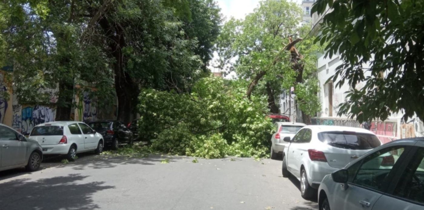 1576176747702.jpg?ow=1280&oh=640&x=6&width=1250&height=625&rotate=0&scaleY=1&y=9&scaleX=1&&cw=1920&ch=950