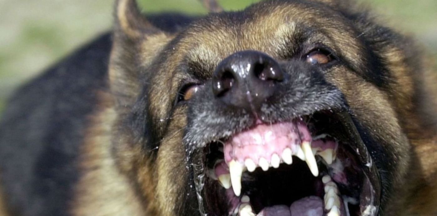 1694347198700.jpg?x=3&y=38&width=1268&height=634&rotate=0&scaleX=1&scaleY=1&ow=1280&oh=750&&cw=1920&ch=950