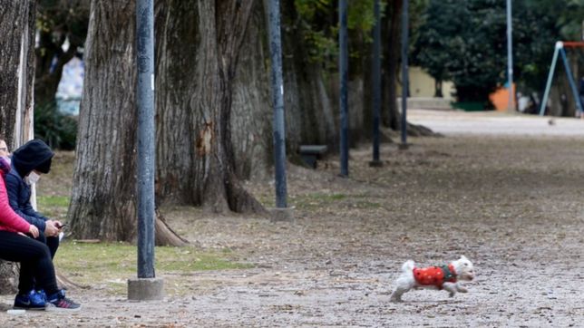 jueves fresco, algo nublado y con 100% de humedad en la plata