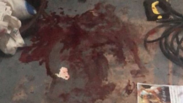 vestidos de policias, con armas y una amoladora, robaron en la casa del pata medina