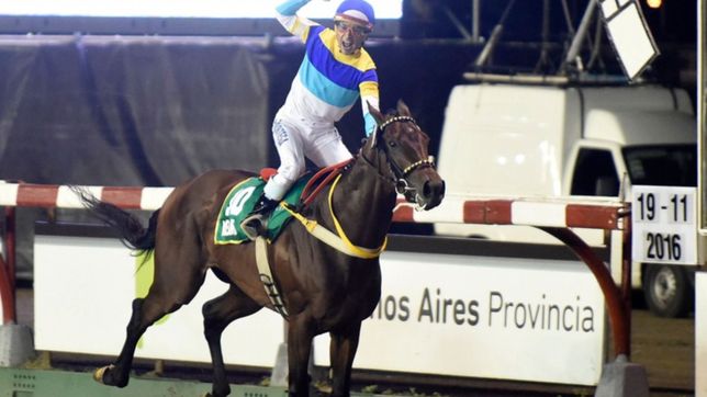 se viene este domingo la 98° edicion del gran premio dardo rocha en el hipodromo