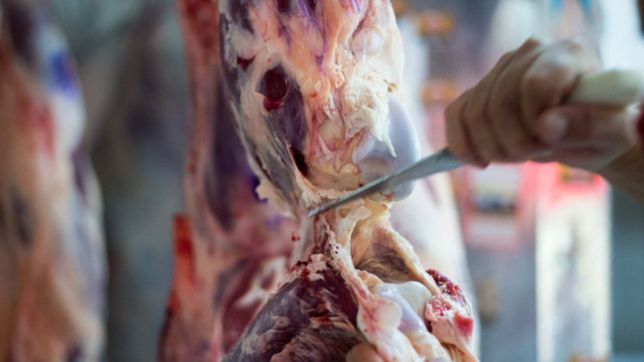 provincia encontro leptospirosis en la carne contaminada con salmonella y shigella