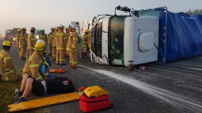terrible accidente en ruta 2: un toro suelto causo un triple choque
