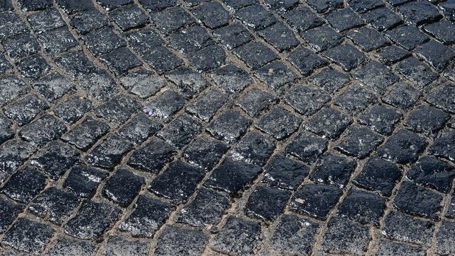 impulsan una ordenanza para asfaltar calles adoquinadas de la plata