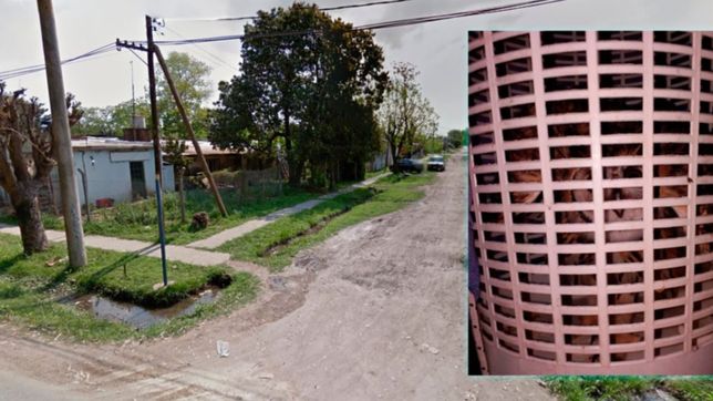 una familia encontro un buho enorme y lo mantienen en un canasto para poder trasladarlo