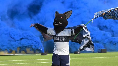 Gimnasia celebra sus 139 años con saludos institucionales, festejos y mensajes de sus jugadores Gimnasia celebra sus 139 años con saludos institucionales, festejos y mensajes de sus jugadores