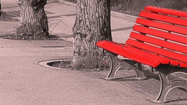 violencia de genero: proponen instalar un ?banco rojo? en todas las plazas de la plata