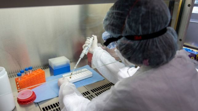 coronavirus en argentina: confirman 8.159 casos nuevos y otras 214 muertes