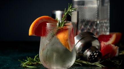 La Plata se prepara para recibir al torneo de coctelería que reúne a los mejores bartenders