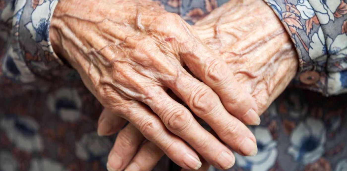 1567461849741.jpg?height=746&rotate=0&scaleX=1&y=64&width=1492&ow=1500&oh=859&x=4&scaleY=1&&cw=1920&ch=950