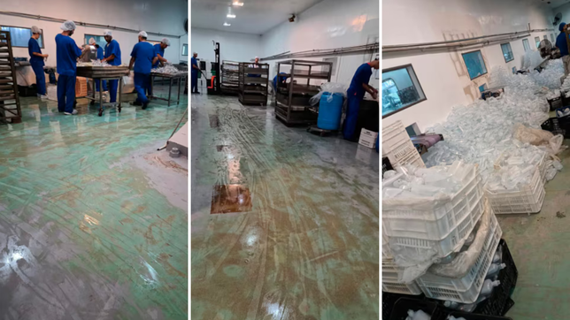 nuevos videos revelan como fue que el dueno de los laboratorios ordeno destruir pruebas