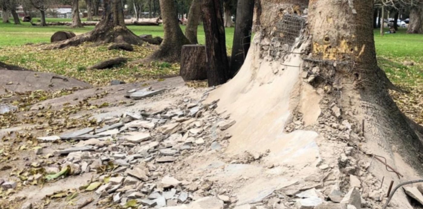 1567113496007.jpeg?rotate=0&oh=768&width=1016&y=120&height=508&scaleX=1&scaleY=1&ow=1024&x=5&&cw=1920&ch=950