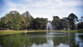 ponen en valor el parque saavedra de la plata con distintas tareas ponen en valor el parque saavedra de la plata con distintas tareas