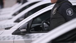 balearon a tres perras y los duenos denunciaron a un vecino por maltrato animal balearon a tres perras y los duenos denunciaron a un vecino por maltrato animal