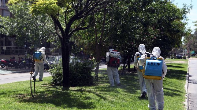 las promotoras de salud de la plata en alerta para prevenir el dengue