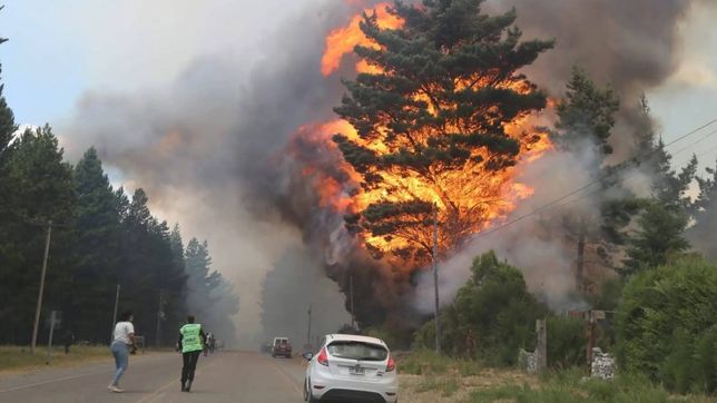 rescatistas voluntarios de la plata viajaron para combatir los incendios en epuyen