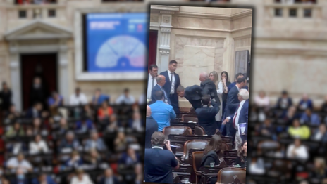 El pedido de una diputada de La Plata desató un escándalo en el Congreso con trompadas entre legisladores oficialistas