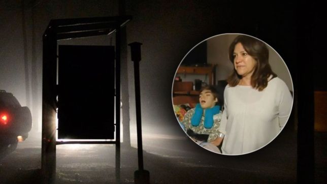 infierno en zona norte: la historia de una mama con su hijo discapacitado en pleno apagon